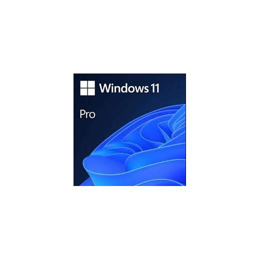 MICROSOFT WINDOWS 11 PRO - ESD FQC-10572