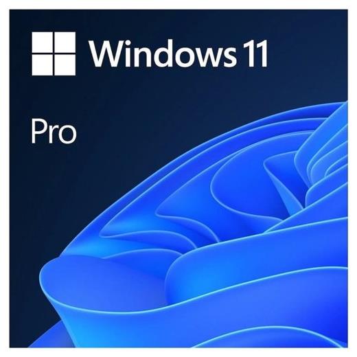 MICROSOFT ms WINDOWS 11 PRO 64BIT TR OEM FQC-10556