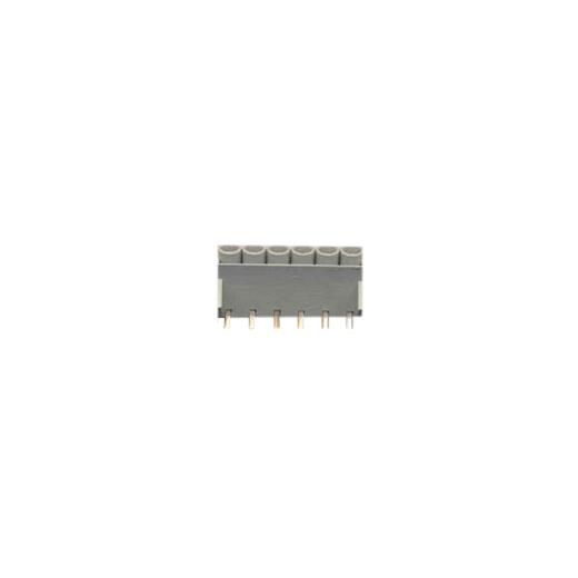 Ic-Itbgsw 06 Klemens, 6Lı Papuclu 45D