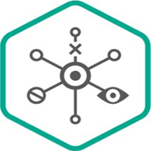 Kaspersky Uç Nokta Tespit ve Yanıt - Gelişmiş 250-999 3 yıl