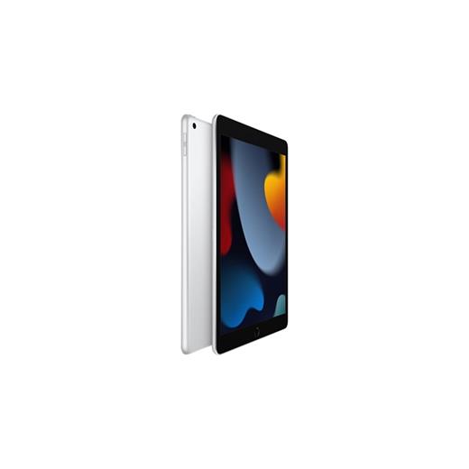 Apple 10.2 Wi-Fi 256Gb Gümüş Mk2P3Tu/A Tablet