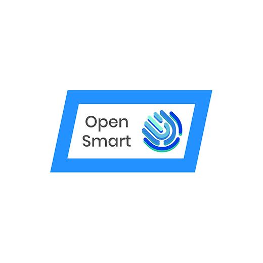 Open Smart 4 Port Realtek RTL8111H 1GbE PCIe X1 Ethernet Kart - OPS7387RTL