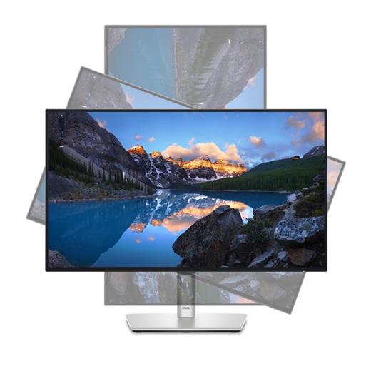 Dell Ultrasharp U2424HE 23.8 5m Type-C Pivot IPS