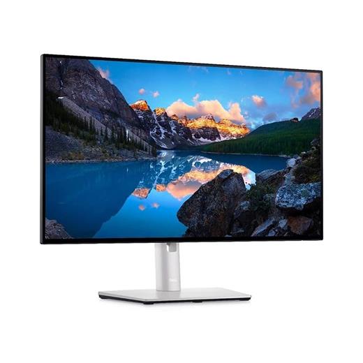Dell Ultrasharp U2424HE 23.8 5m Type-C Pivot IPS